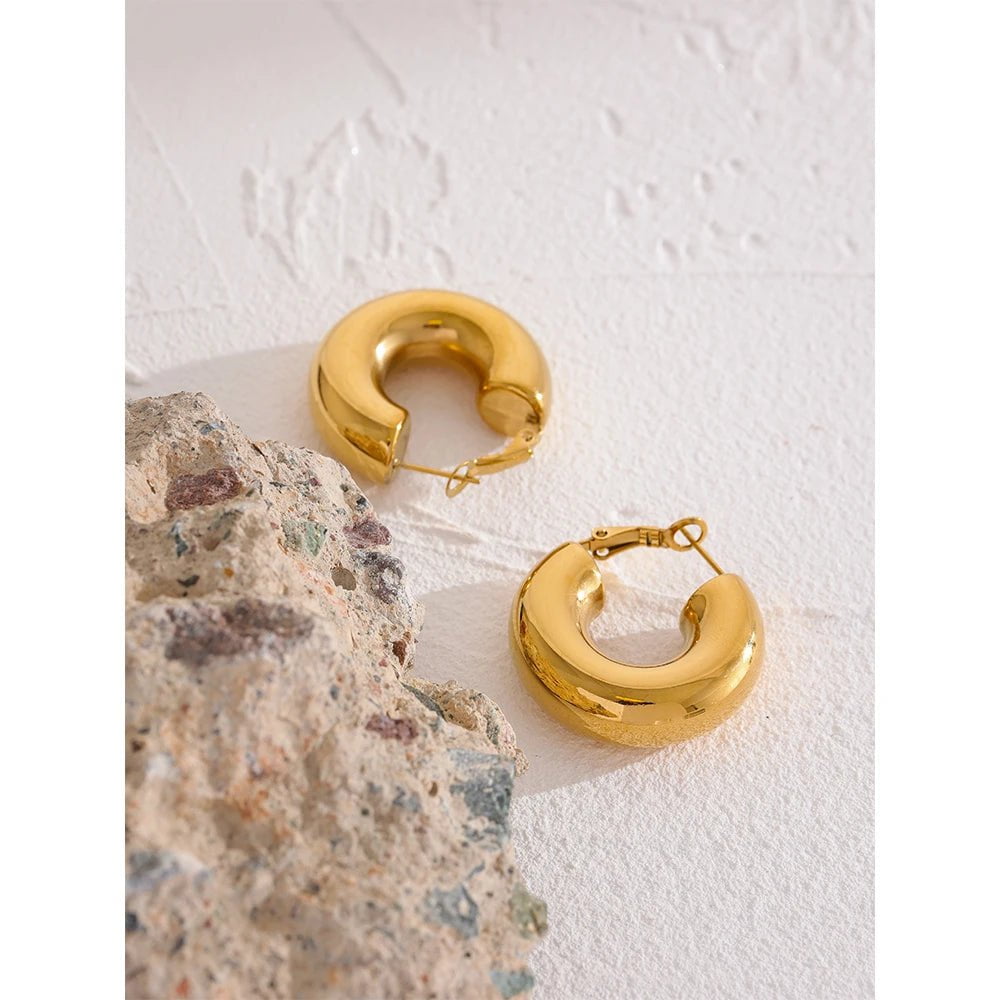 Wee Luxury Women Earrings Chunky Stainless Steel Golden Minimalist Hoop Earrings